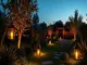 illuminate-your-garden-with-designer-garden-lighting